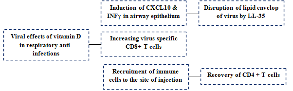 Figure 2: The regulatory effect of vitamin D on the immune system involved in respiratory infections [39].