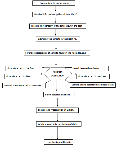 Figure 1: Blood detected on cemented floor room No.1.