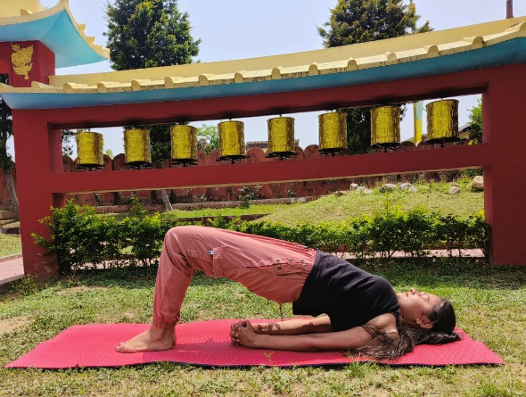 Figure 15: Setubandhasana.