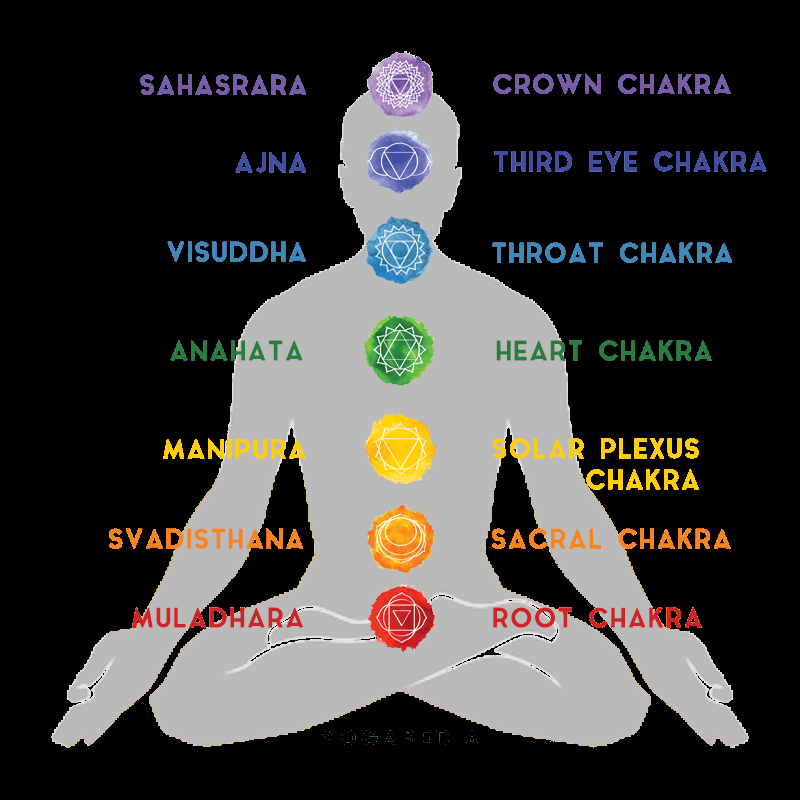 Figure 3: 7 Chakras in human body.