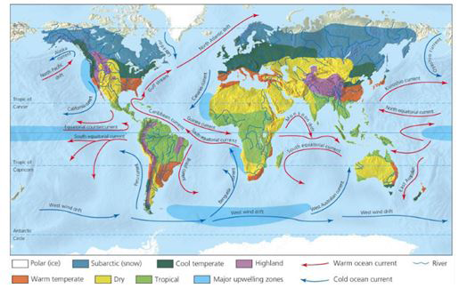 Figure 1: Ocean circulation.