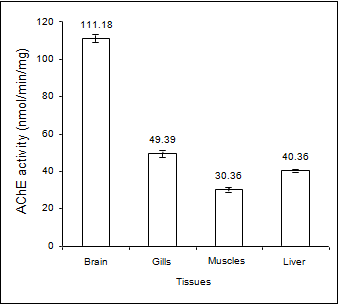 Figure 1: AChE activity in different tissues of _R. kanagurta_. The data presented are means of triplicates and highly significant, (p<0.0001).