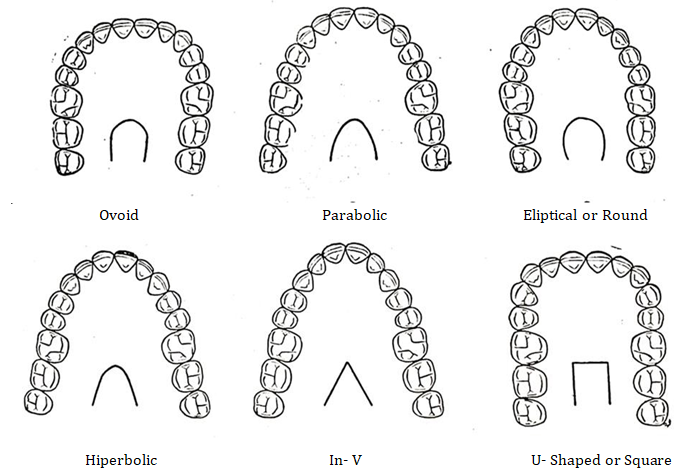 Figure 1: Different proposed forms of dental arches [1].