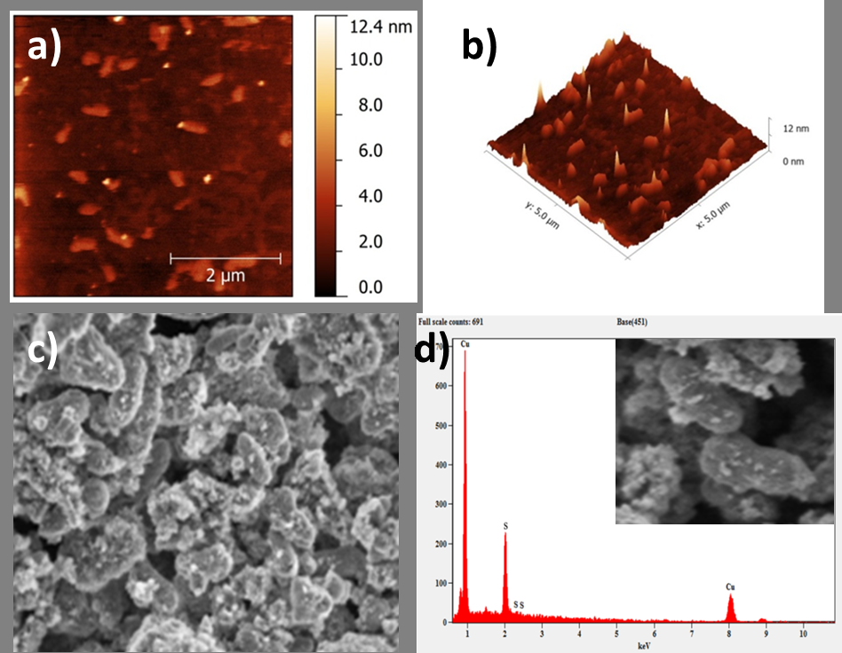 Figure 3: XRD pattern (a) of CuS NPs; MDA MB- 231 cell line- based viability assay (b) of CuS-NPs; SEM micrograph of CuS NPs untreated (c) and treated (d) B. subtilis, respectively