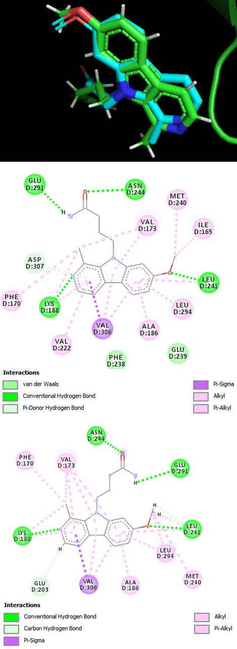 Figure 1: Superimposed view of DYKR1A reference compound in blue and docked reference compound in green.