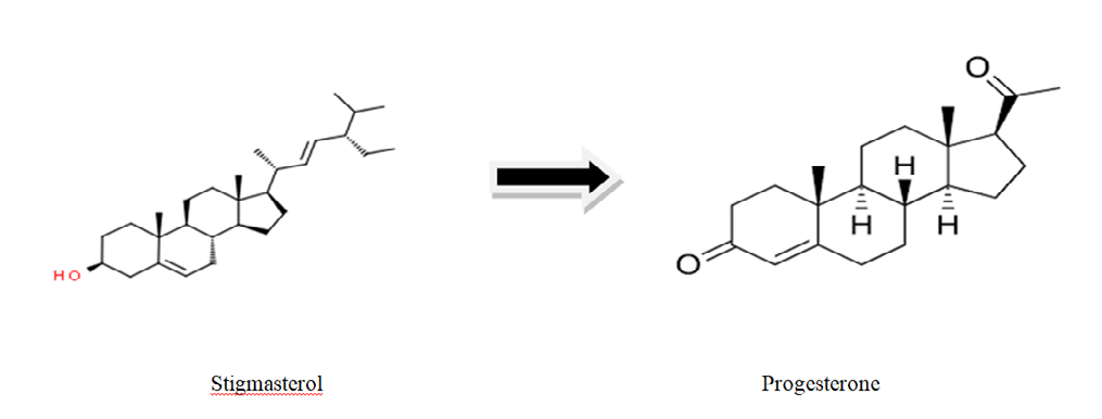 Figure 5: Synthesis of Progesterone from Stigmasterol.