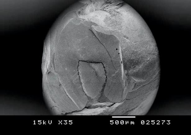 Figure 4: SEM image x 35 demonstrating restorable cohesive fracture (FPR composite).