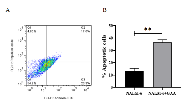Figure 2: Results from the induction of apoptosis by the GAA extract on NALM-6 cell line. The NALM-6 cells were exposed to intended concentration of the GAA extract and then the induction of apoptosis after 48 h incubation was evaluated. (A) Flow cytometry images, Q1, Q2, Q3 and Q4 represent necrotic cells, late apoptosis, early apoptosis and live cells, respectively. (B) The apoptotic cells percentage was increased in GAA treatment compared with untreated cells (P=0.0021). The error bars in the diagram represent the standard deviations of two separate tests.