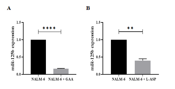 Figure 4: The expression levels of miR‐125b in GAA‐ and L-ASP-treated Nalm6 cell line. Significant differences of alteration in the expression levels of miR‐125b were measured between untreated and treated Nalm6 cells by quantitative RT‐PCR. (A) miR-125b (p < 0.0001) were confirmed down-regulated in GAA treatment compared with untreated cells; also, (B) the expression levels of miR-125b (p=0.0023) was decreased in L-ASP treatment compared with untreated cells. Interestingly, results showed that the expression levels of miR- 125b reduced by GAA treatment compared to L-ASP treatment. U6 used as internal control. (⃰ ⃰ P<0.01,⃰ ⃰ ⃰ ⃰ P<0.0001). RT PCR; real-time polymerase chain reaction.