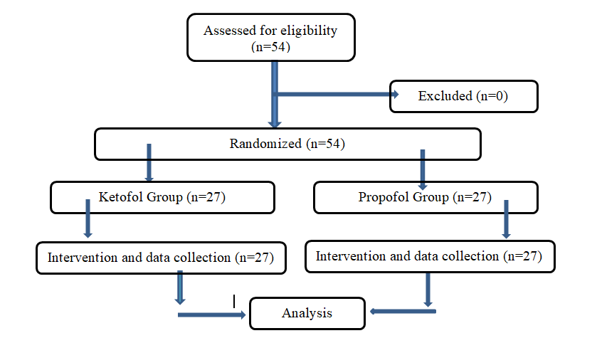 Figure 1: Graphic outline of the study design (Consort diagram).