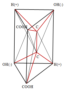 Figure 3: Spatial structure of the D-wine acid.