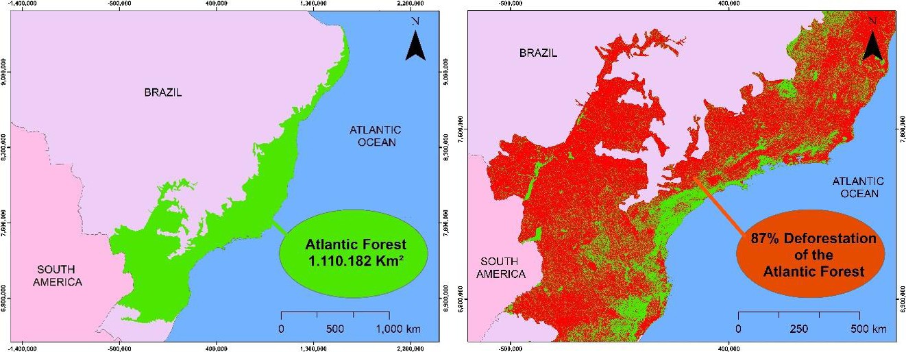 Figure 1: Original size and location of the Atlantic Forest Biome in Brazil (a) and a glance at the current situation due to hundreds of years of deforestation (b).