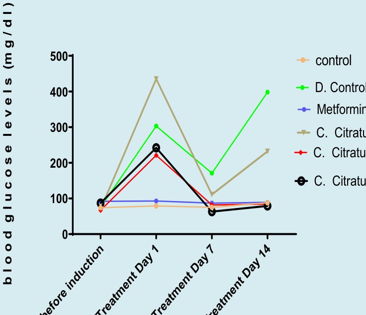 Figure 1: Effect of C. Citratus aqueous extract on blood glucose level in alloxan-induced diabetic rats.