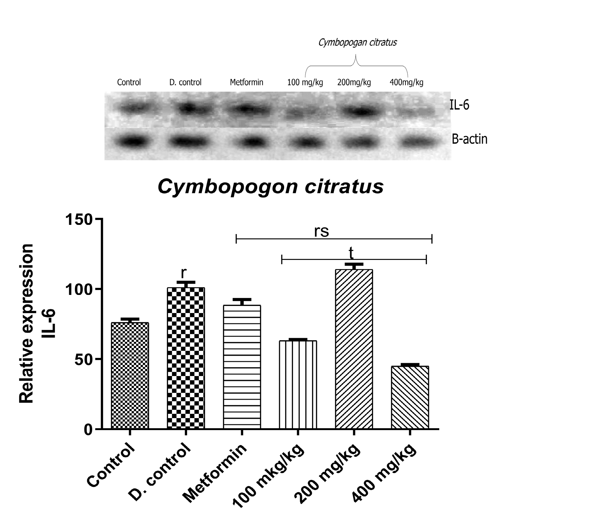 Figure 3: Qualitative-PCR analysis of IL-6 gene expression in the pancreas of alloxan-induced diabetic rats. Image representation of RT-PCR agarose gel electrophoresis for IL-6 gene followed by densitometric analysis. ‘r’ represents significant difference relative to control, ‘s’ represents significant difference relative to diabetic control, ‘t’ represents significant difference relative to metformin at p<0.05.