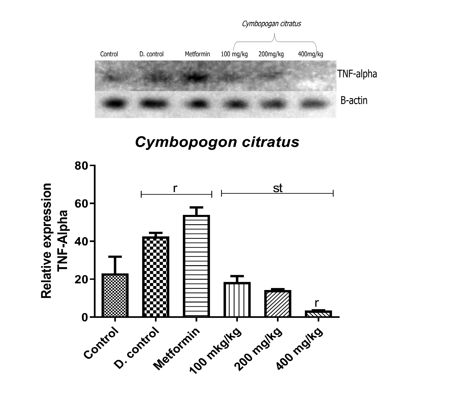 Figure 4: Qualitative-PCR analysis of TNF-α gene expression in the pancreas of alloxan-induced diabetic rats. Image representation of RT-PCR agarose gel electrophoresis for TNF-α gene expression followed by densitometric analysis. ‘r’ represents a significant difference relative to control, ‘s’ represents a significant difference relative to diabetic control, ‘t’ represents a significant difference relative to metformin at p<0.05.