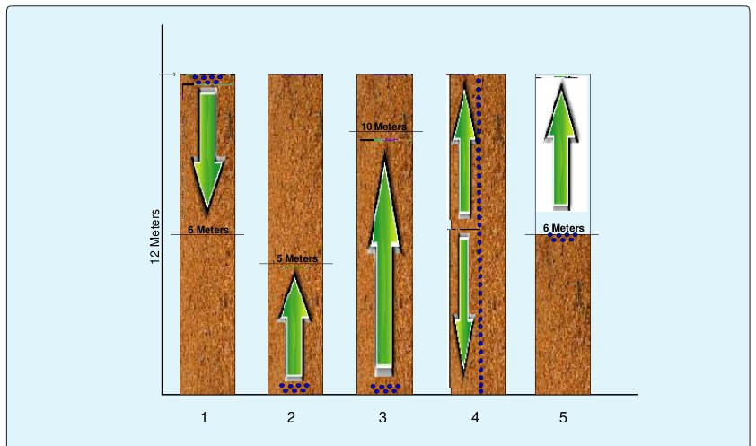 Figure 1: Shows the different treatments (1-5). The arrows indicate the displacement of the gas along the tube and the blue balls represent the phosphine tablets (locations where they were placed).