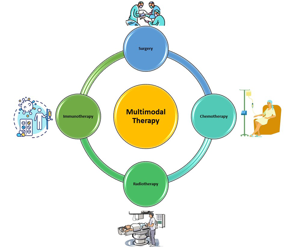 Figure 2: Multimodal therapy.