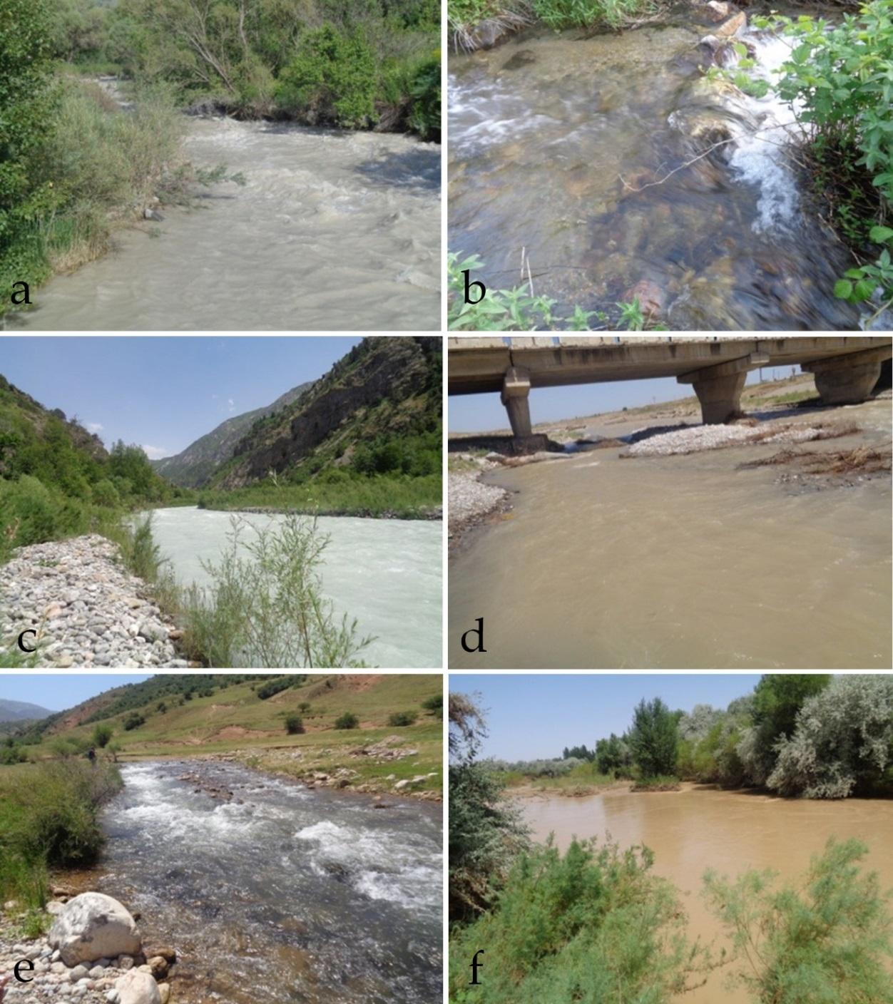 Figure 4: Distribution of indicator taxa over taxonomic Divisions, and ecological groups of substrate preferences, temperature, and water oxygenation.