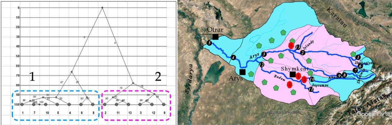 Figure 8: Dendrogram of species richness similarity of the Arys River communities and positions of clusters on the basinal map: dark green – cluster 1, light green – cluster 2, white – cluster 3.