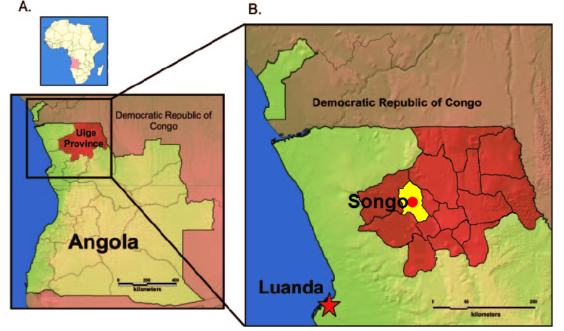 Figure 1: Small city of Songo in the province of Uíge, Angola. A) Map of Africa with Angola highlighted in red. Inset shows the province of Uíge. B) Location of the small city and municipality of Songo.