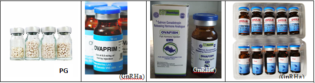 Figure 2: Pictures of induced breeding reagents used in modern aquaculture.