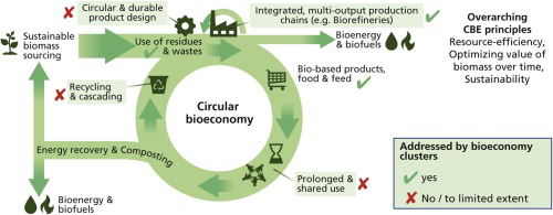 Figure 4: Circular bioeconomy (CBE) [72].