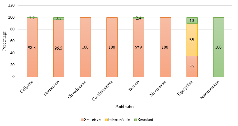 Figure 2: Percentage of susceptible and non‐susceptible (resistant and intermediate) isolates of S. marcescens.