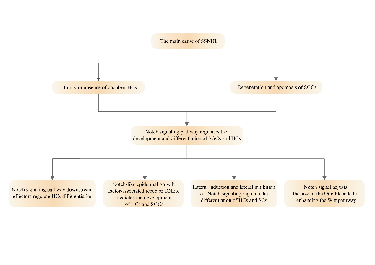 Figure 1: Overall venation diagram.