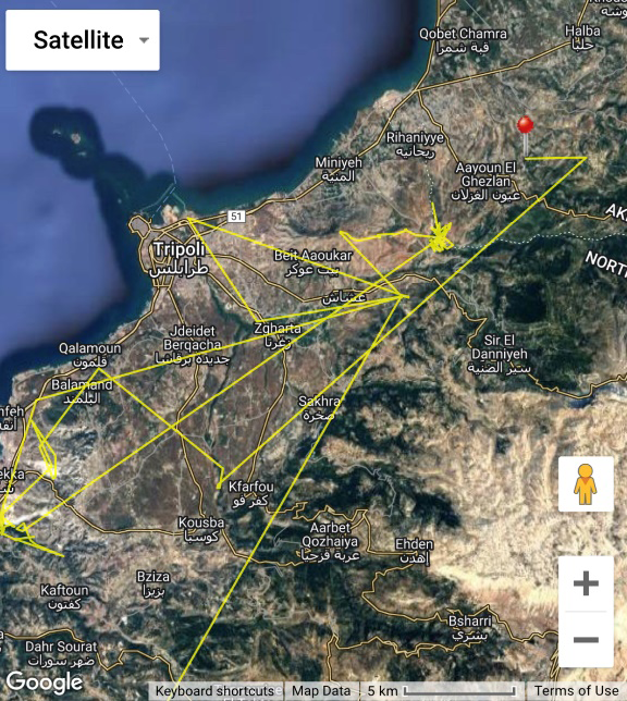 Figure 6: Satellite Coordinates of the Short-toed Snake Eagle Circaetus gallicus on the 20th of June 2022.