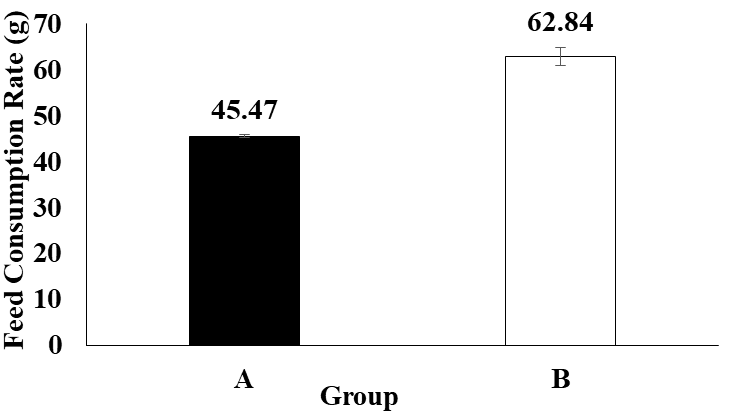 Figure 3: The results of this study in terms of feed consumption rate of goldfish during this research consisted of treatment A) Feeding without microcapsules of sea rabbit extract; and B) Feeding with the addition of sea rabbit extract microcapsules.