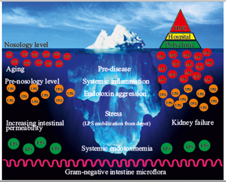 Figure 1: Illustrative presentation of the role of SEE and EA phenomena in the treatment and preventive medicine.
