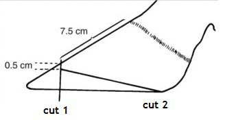 Figure 1: Claw traits measured on the hind claws to describe shape (adapted from Ouweltjes et al., 2009). A = toe length, B = toe height, D = toe angle, E = toe diagonal, F = toe width.