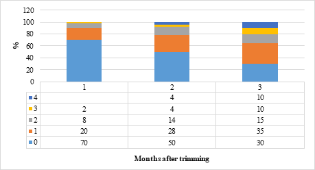Figure 4: Changes in digital dermatitis scores (M0 = no signs, M1 = early stage, M2 = acute stage, M3 = heading stage, M4 = chronic stage) during 3 months after trimming (STD + HOL) methods of hind claws in primiparous cows.