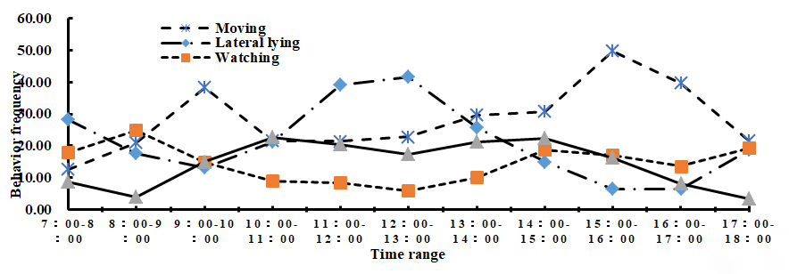 Figure 1: Time rhythm of South China tiger advantageous behaviors in daytime.