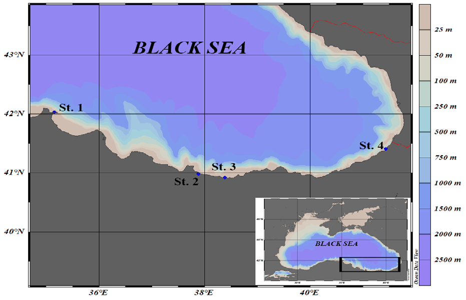 Figure 1: Study area and location of meteorological stations along the south-eastern coast of the Black Sea (Station 1 - Sinop; 2 - Ordu; 3 - Giresun; 4 - Hopa).