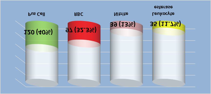 Figure 1: Distribution of the sample according to the results of general urine exam.