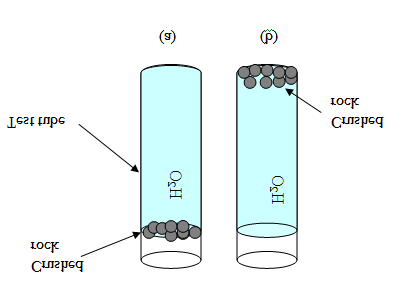 Figure 1: Flotation test (a) oil-wet rock and (b) water-wet rock [34].