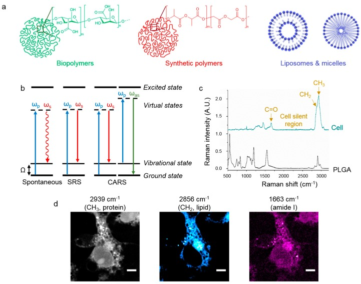 Figure 14: From Royal Society of Chemistry Issue 43, 2015 From the journal: Physical Chemistry Chemical Physics Effects of the molecular level dispersion of graphene oxide GO on the free volume characteristics of poly(vinyl alcohol) and its impact on the thermal and mechanical properties of their nanocomposites. Sharma SK, et al.