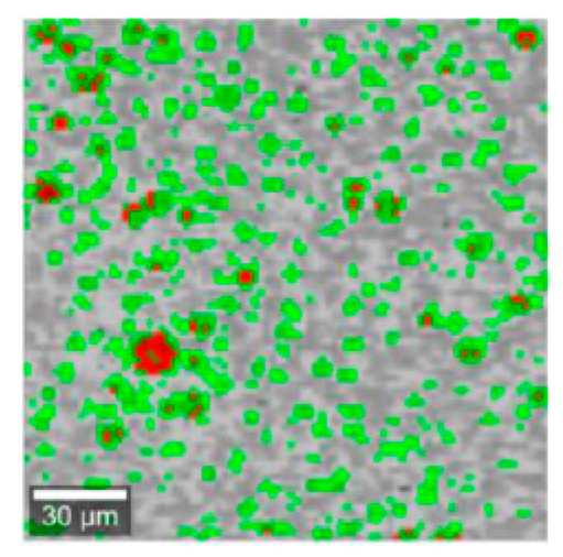Figure 19