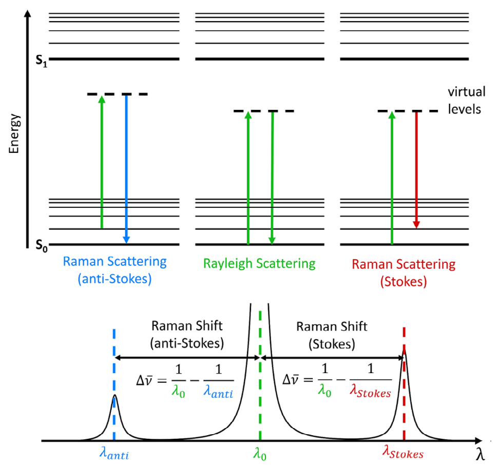 Figure 2: Jablonski Diagram showing the origin of Rayleigh, Stokes and Anti-Stokes Raman (RS) Scatter