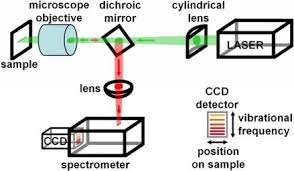 Figure 4: Review article Front. Microbiol., 12 June 2018 Sec. Food Microbiology https://doi.org/10.3389/ fmicb.2018.01236. Detection of Foodborne Pathogens by Surface Enhanced Raman (RS) Spectroscopy Xihong Zhao, Mei Li and Zhenbo Xu