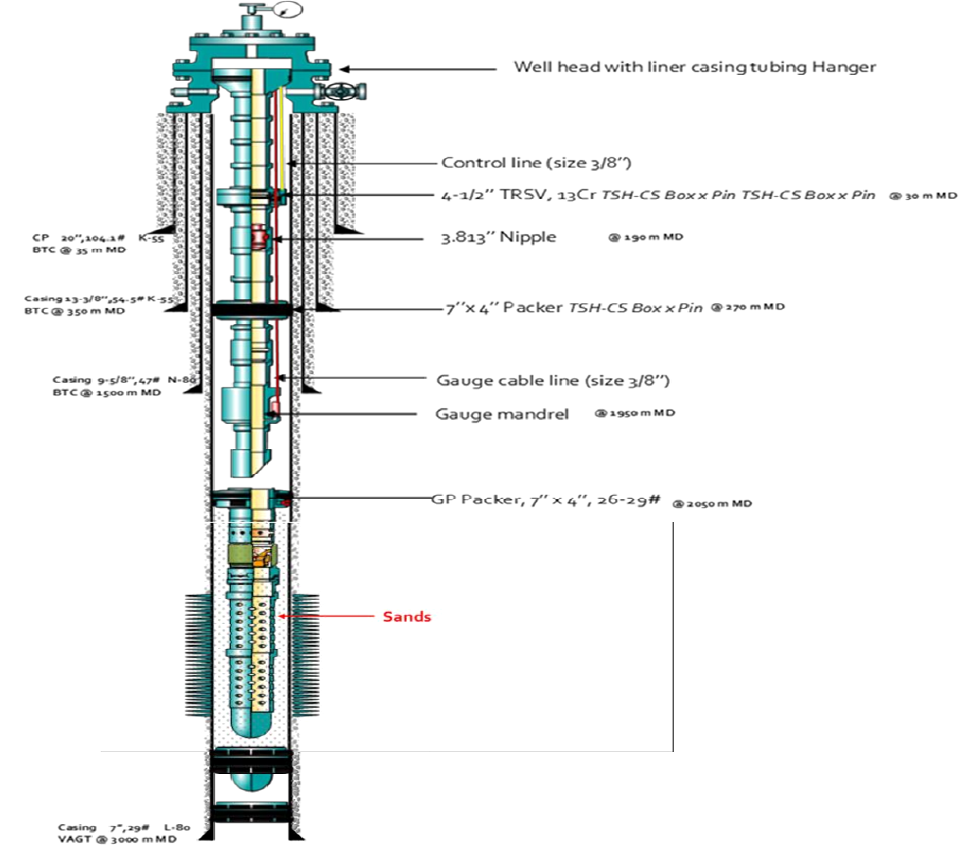 Figure 1: Initial well schematic.