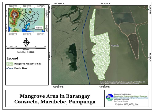 Figure 3: Shows where the planting site of mangroves in Consuelo.