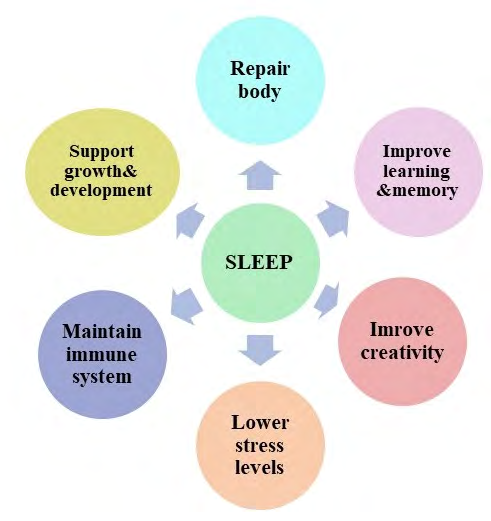 Figure 1: Schematic diagram showing regulation of various physiological activity by normal sleep wake cycle.