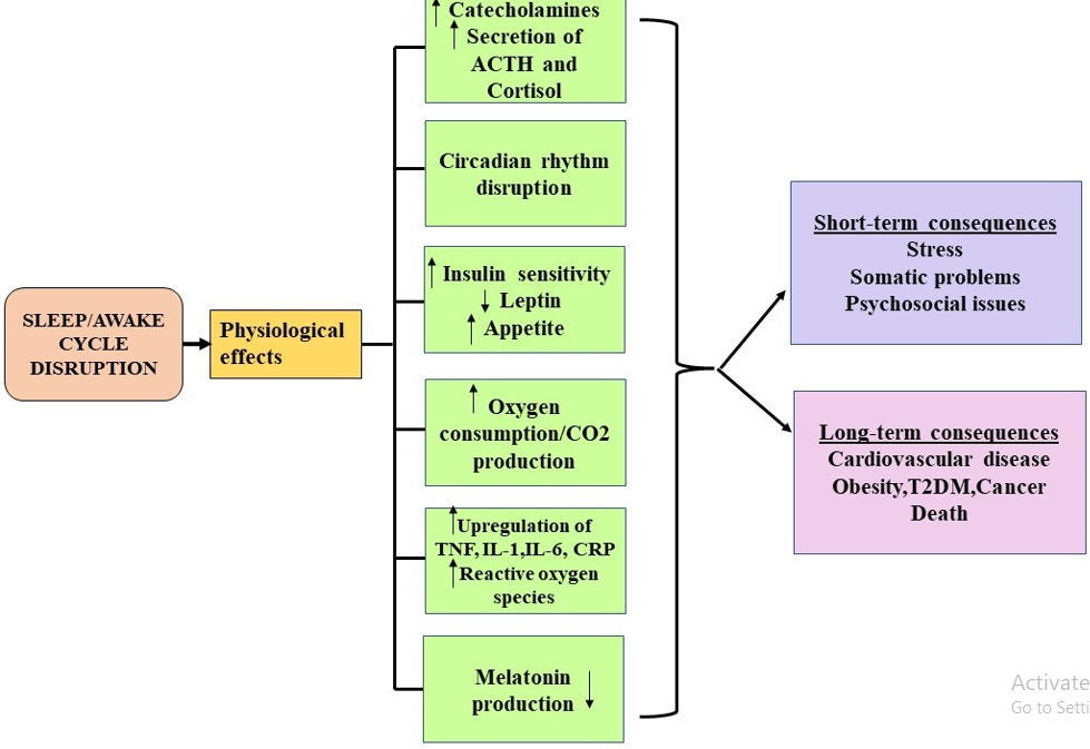Figure 3: Proposed mechanism by which sleep disruption is thought to exert its detrimental short-and long-term effects. Adopted from (Medic et al. “Short-and long-term health consequences of sleep disruption,” 2017).