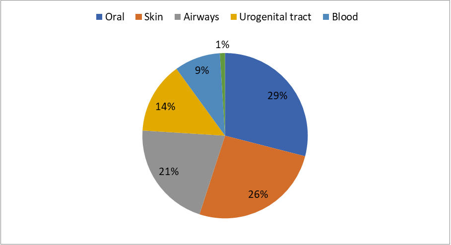 Figure 1: Oral cavity contains diverse composition of microbiome. Almost 1000 species of bacteria are present in oral microbiome which represents different phyla [18]. Types of microbes present in mouth are ecologically different from other surfaces mouth characteristics do not allow all microorganisms to persist and colonize. Furthermore, due to the different ecological condition in mucosal surface (cheeks, tongue, lips, palate, teeth) mouth habitat supports the growth of only few microbial communities. During the life of an individual, microbial habitat will change. After birth only mucosal surface is present for colonization of microbes but teeth eruption supports the accumulation of larger mass of microbes. In an individual ecology of mouth vary due to any dental treatment or placements of orthodontics band .Oral microbiome of human is very complex in nature composed of fungi and bacteria. 74 cultivable and 11 non cultivable fungal genera are present in oral cavity [19,20]. There is need to identify al large no of oral microbiome which are still uncultivable [19]. Six major phyla that include  _Firmicutes,_ _Actinobacteria, Bacteroidetes, Proteobacteria, Spirochaetes,_ and _Fusobacteria_, contain 96% of oral bacteria while phyla _Euryarchaeota,_ _Chlamydia,_ _Chloroflexi_, SR1, _Synergistetes, Tenericutes_ and TM7 contain only 4% of oral bacteria [21]. The major entrance to human body is oral cavity which contains viruses, fungi and many other species of bacteria. Numerous microbial habitats are offered by oral cavity with mucosa or solid surface. Specific ecological niche which selects distinct microbes present on different habitats such as the sulcus, dental surface, the tongue and different non keratinized and keratinized mucosal surfaces [22]. According to a hypothesis 100M microbial cells are present in one ml of human saliva from a healthy adult. In every 24hrs about 8×1010 bacteria shed from oral cavity in normal salivary flow rate which is 750ml per day [23]. Human oral microbiome constitutes almost 200 bacterial taxa and great number of opportunistic pathogens. As Second most diverse microbial community is represented by oral microbes which play very important role in determining human health, diseases and forensic investigation. Complexity of oral microbes is much understood with the advent of DNA sequencing advances [24]. Microbial community present in oral microbiome is different among different individuals. It is very unique in each individual and highly individualizing [25]. Therefore, traces of oral microbes are collected from crime scene which leads investigation in criminal and civil cases.