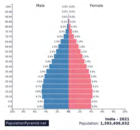Figure 3: ** Population Pyramid 2021.