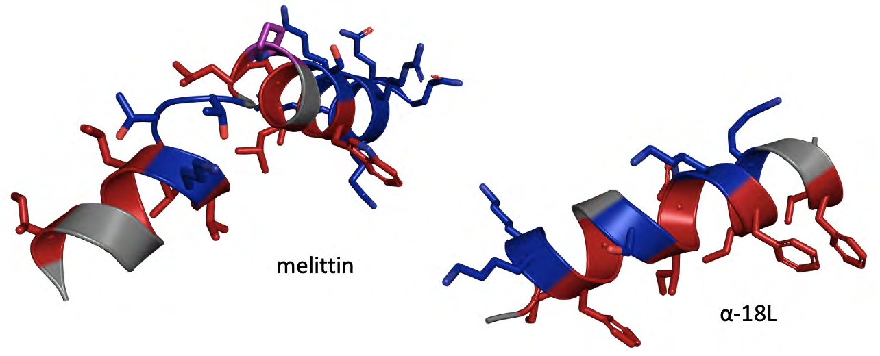 Figure 1: Melitin from Apis mellifera venom (GIGAVLKVLTTGLPALISWIKRKRQQ) & peptides of the α-18L class (GIKKFLGSIWKFIKAFVG).