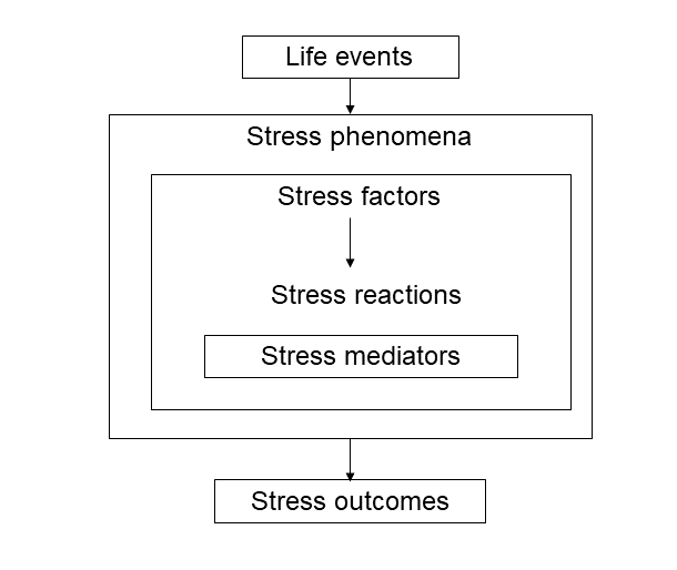 Figure 1: ** General scheme of stress phenomena.