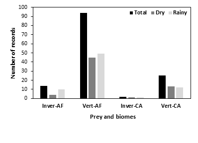 Figure 5: Number of records with evidence of feeding activities of the Roadside Hawk, that were obtained by citizen scientists in the Brazilian Atlantic Forest [AF] and Caatinga [CA]. Prey were classified as invertebrates [Inver] or vertebrates [Vert], and record numbers were shown for dry and rainy periods, and for the total period of sampling. Records were gathered in the WikiAves database by TVG in February 2021.